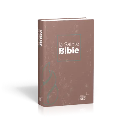 Bible NEG compact rigide illustrée
