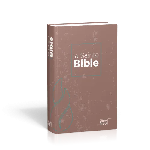 Bible NEG compact rigide illustrée
