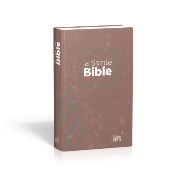 Bible NEG compact rigide illustrée