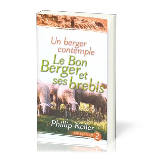 UN BERGER CONTEMPLE LE BON BERGER ET SES BREBIS
