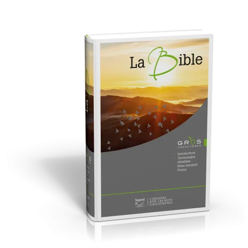 BIBLE SEGOND 21 GROS CARACTERE ILLUSTREE