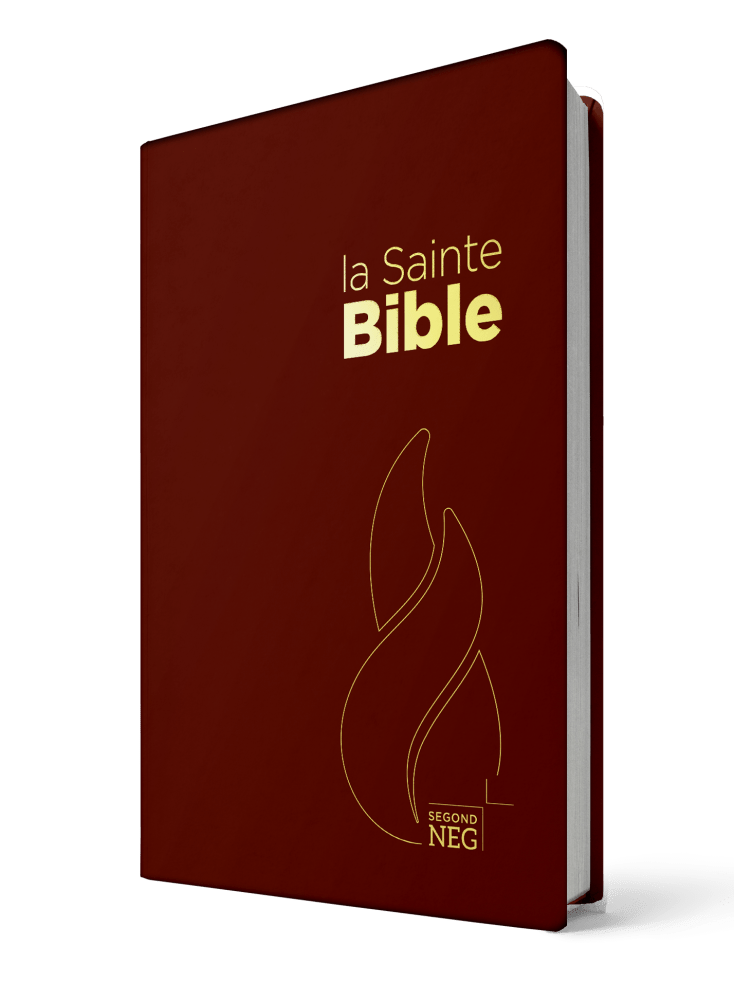 Bible NEG compact PCV grenat