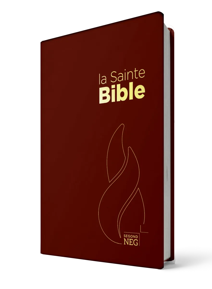 Bible NEG compact PCV grenat