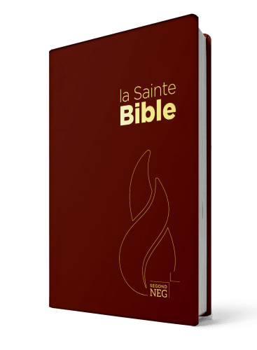 Bible NEG compact PCV grenat