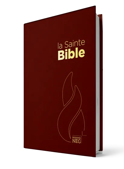BIBLE NEG COMPACT RIGIDE GRENAT