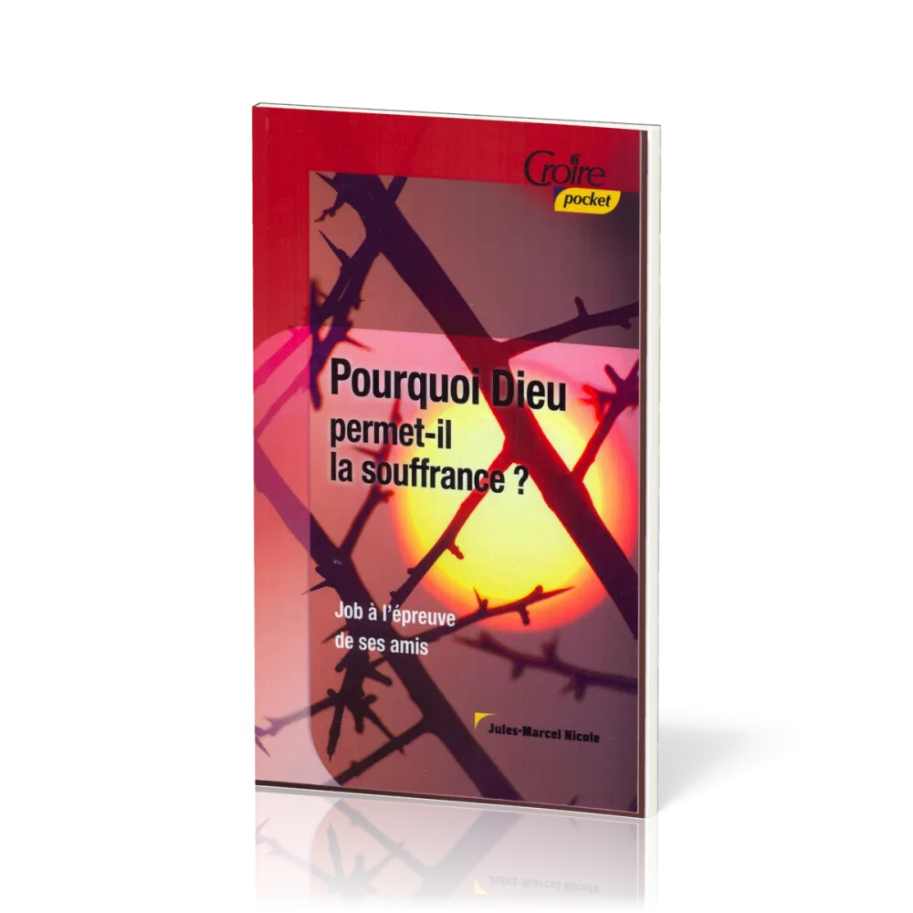POURQUOI DIEU PERMET-IL LA SOUFFRANCE No 20 - JOB A L'EPREUVE DE SES AMIS