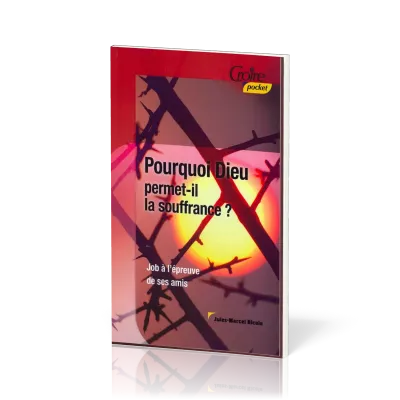 POURQUOI DIEU PERMET-IL LA SOUFFRANCE No 20 - JOB A L'EPREUVE DE SES AMIS