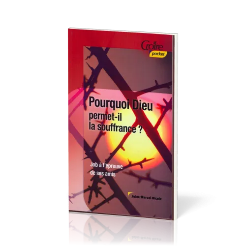 POURQUOI DIEU PERMET-IL LA SOUFFRANCE No 20 - JOB A L'EPREUVE DE SES AMIS