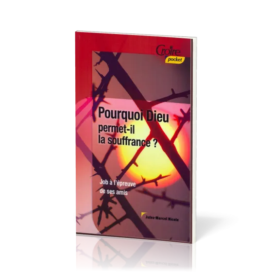 POURQUOI DIEU PERMET-IL LA SOUFFRANCE No 20 - JOB A L'EPREUVE DE SES AMIS