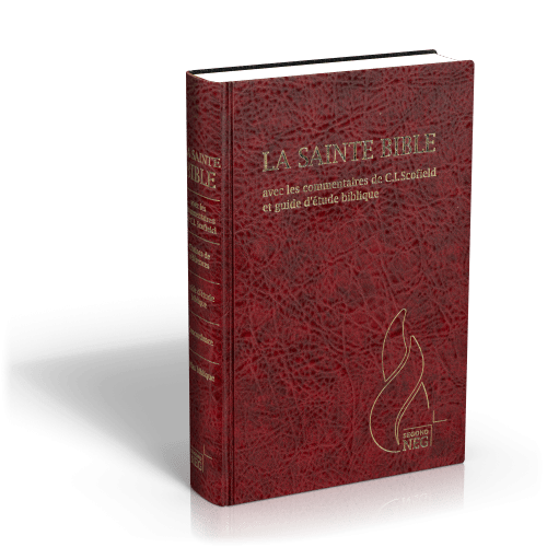 Bible d'étude Segond NEG Scofield, grenat - couverture rigide, skyvertex