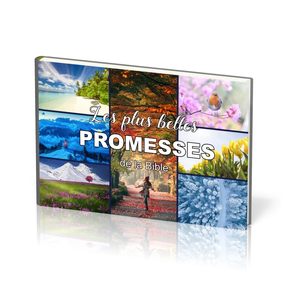 Plus belles promesses de la Bible (Les)