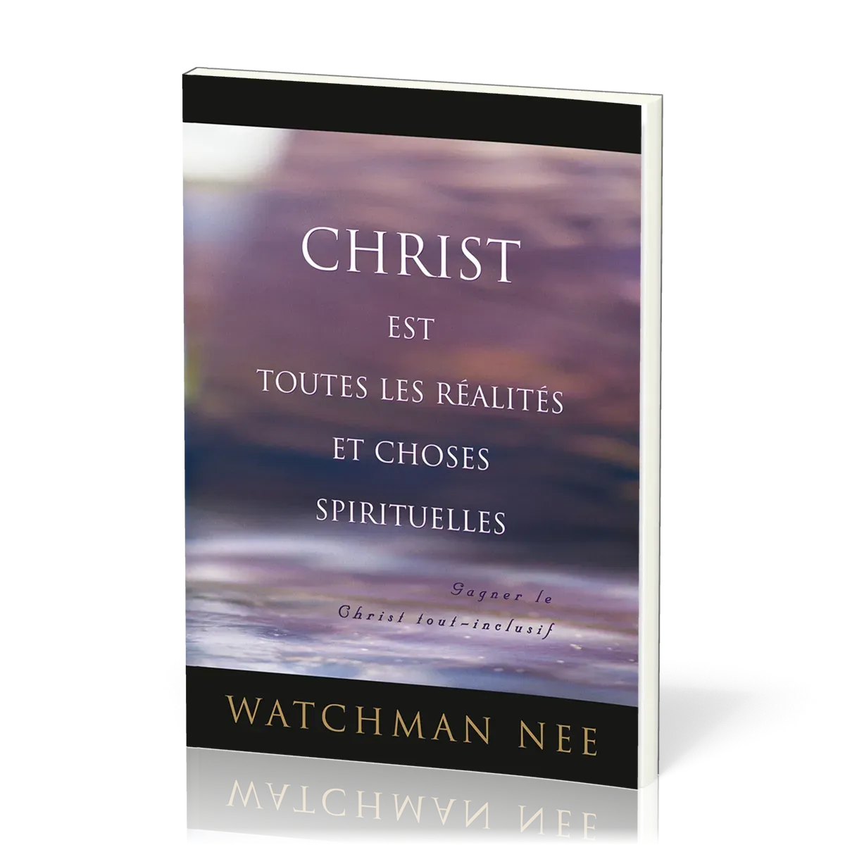 CHRIST EST TOUTES LES REALITES ET CHOSES SPIRITUELLES