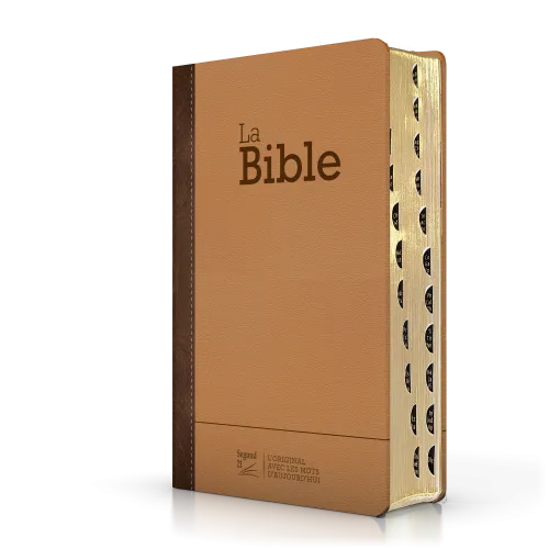 Bible Segond 21 compacte  (Premium style) - Couverture rigide cuir praliné-chocolat - tranches or et