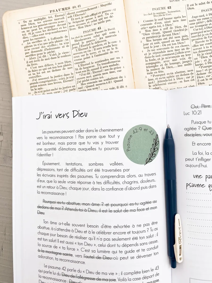 Découvrir la reconnaissance - La Bible en pratique au quotidien