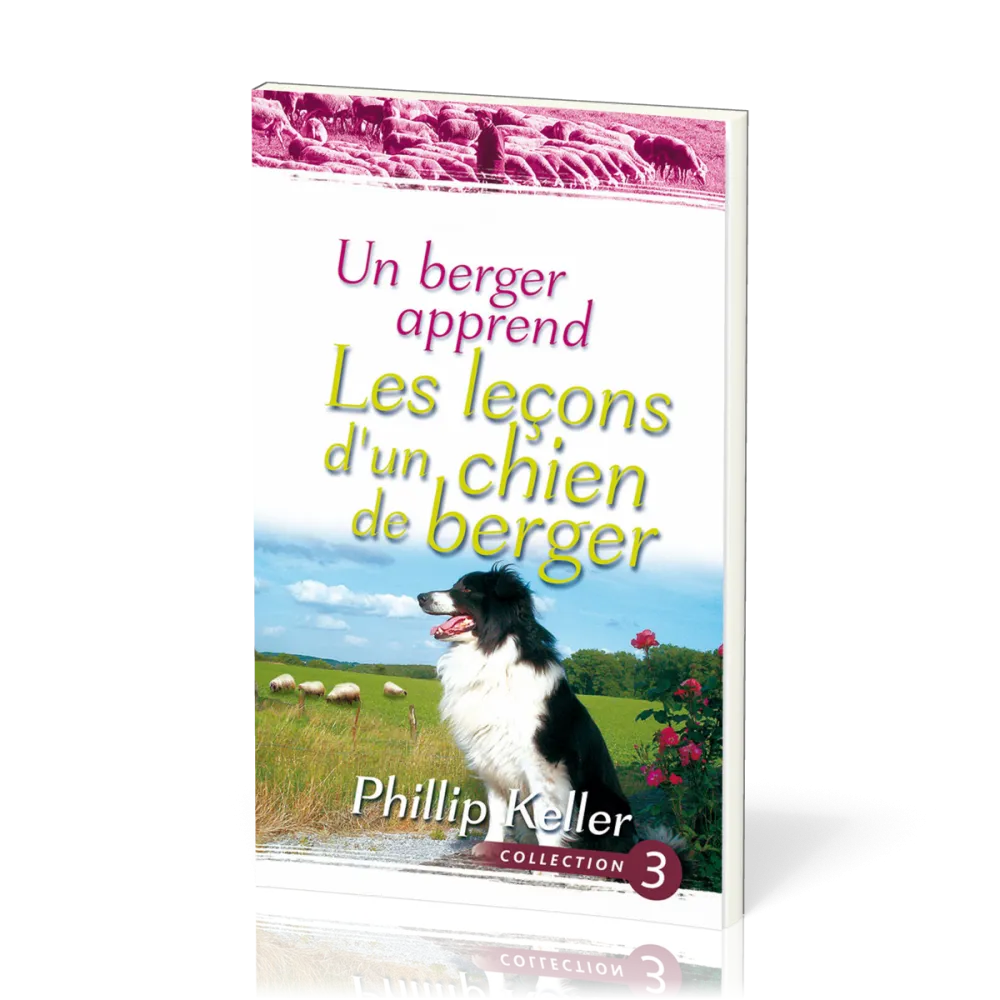 Un berger apprend les leçons d'un chien de berger
