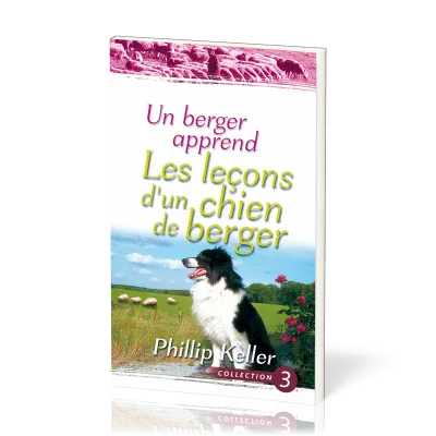 Un berger apprend les leçons d'un chien de berger