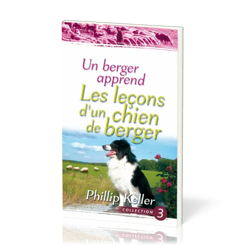Un berger apprend les leçons d'un chien de berger