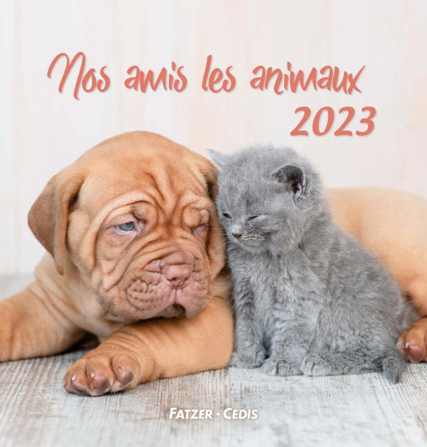 CALENDRIER NOS AMIS LES ANIMAUX