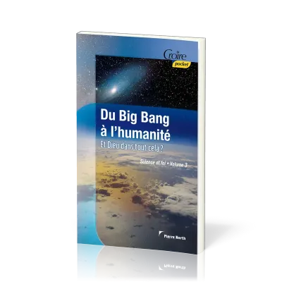 DU BIG BANG A L'HUMANITE. ET DIEU DANS TOUT CELA? SCIENCE ET FOI VOL. 3
