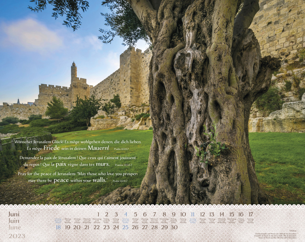 Calendrier - Israël Shalom - trilingue