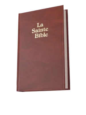 BIBLE DARBY PETIT SKIVERTEX BRUN
