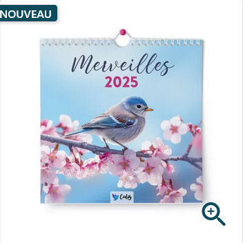  Tous les calendriers sont arrivés ! pour les commander cliquer ici 